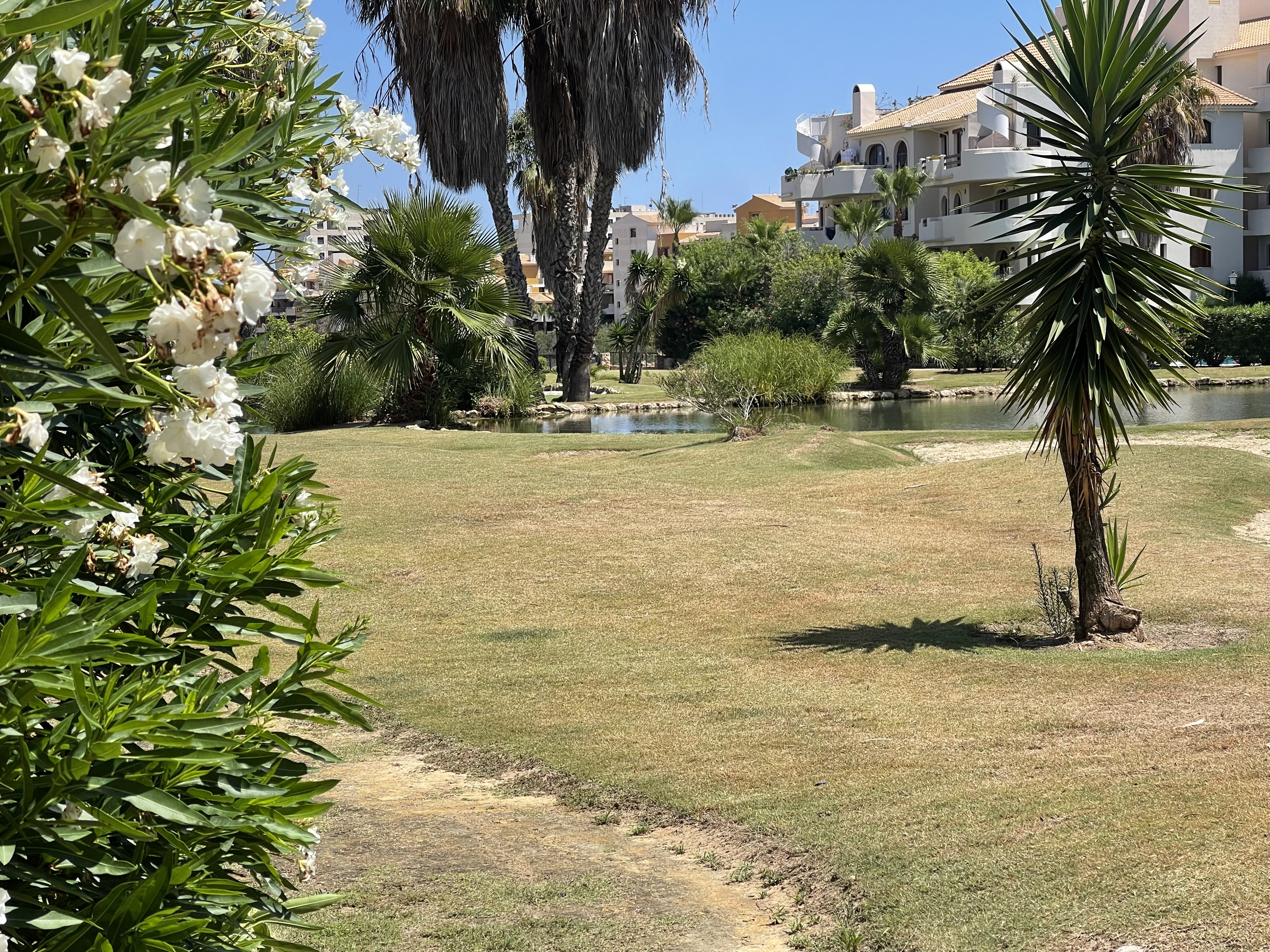 Park