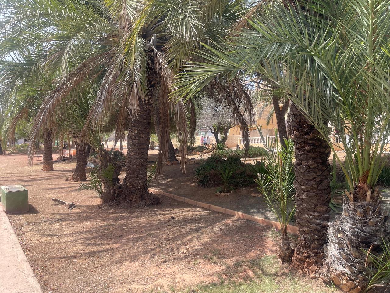 Park close up